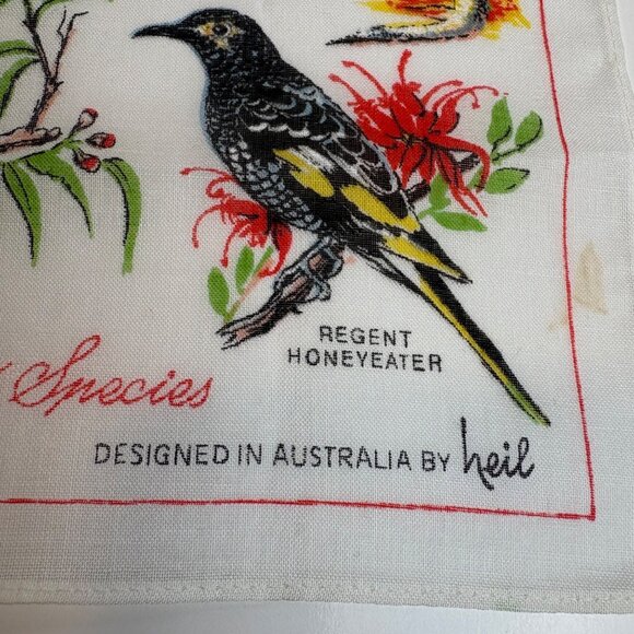 Australian Endangered Species Handkerchief Heil Koala Ghost Bat  Forest Dragon - Picture 2 of 6